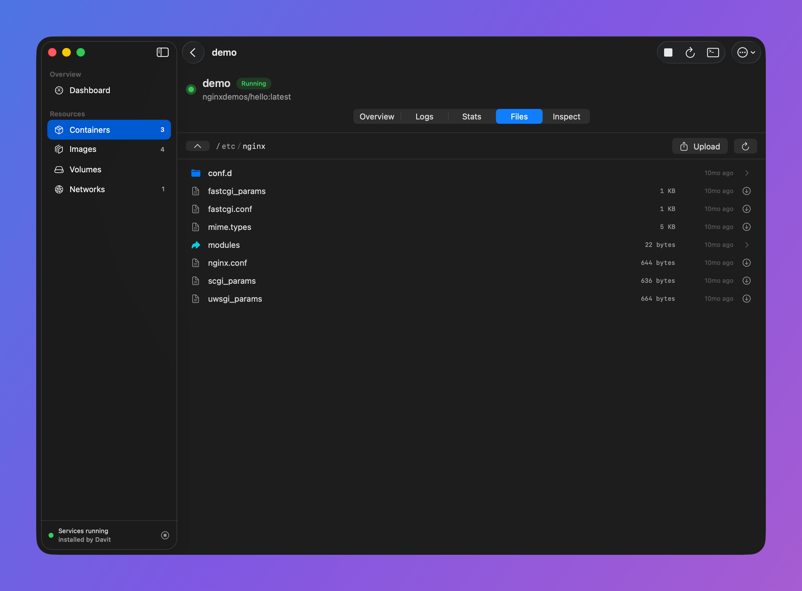 Browsing a running container's filesystem with folders, file sizes and per-file download